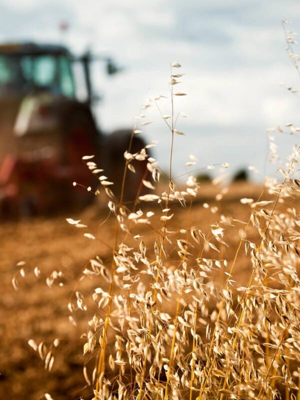 CropGuard Herd Health Tracking App