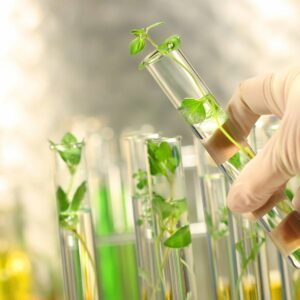 CropGuard Integrated Pest Management Toolkit