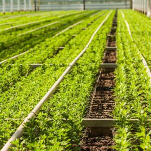 Sustainable Farming Essentials Pack