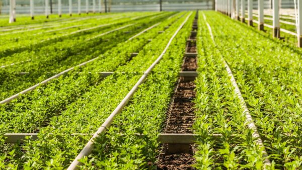 Sustainable Farming Essentials Pack
